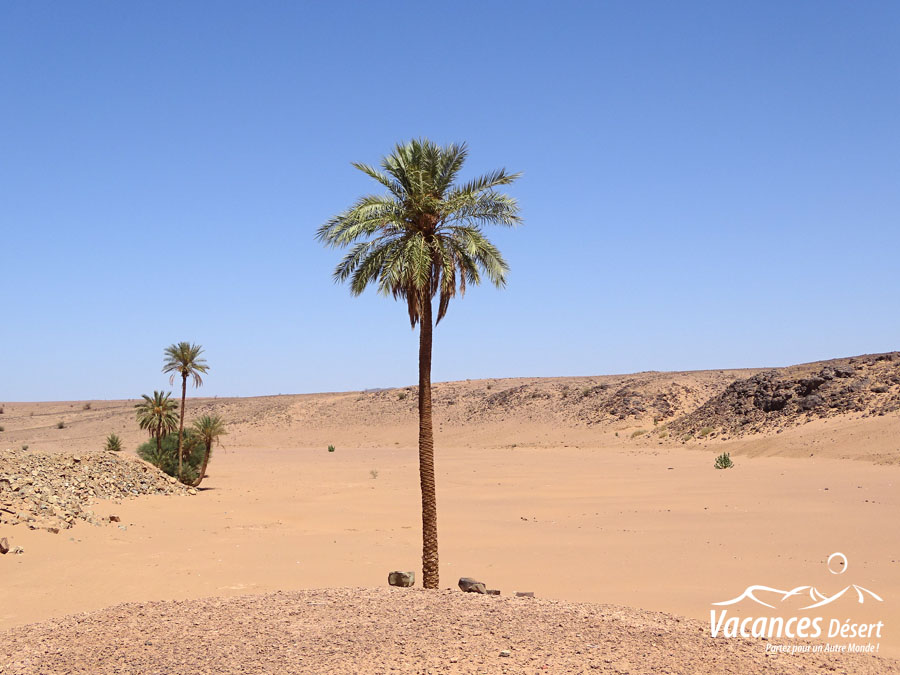  Voyage authentique luxe au Maroc : circuit désert et sud marocain